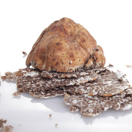 Tartufi